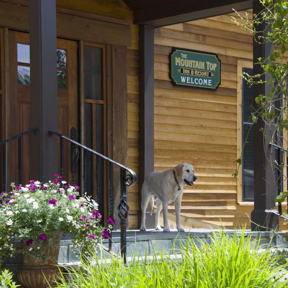 The Mountain Top Inn & Resort Chittenden 設備 写真